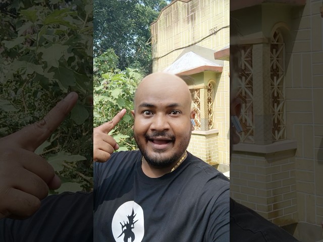 সত্যি করব প্রমিস🚁🚁 #youtubeshorts #experiment