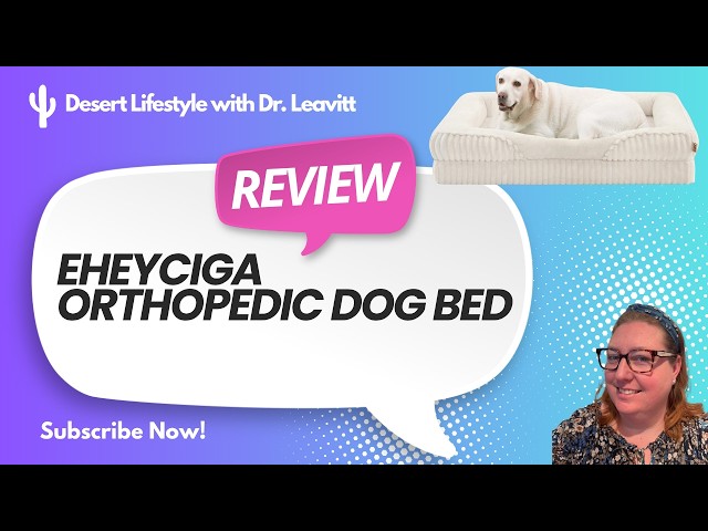 Product Review: Does my Goldendoodle fit on the XL Pro (45x35x7.5) bed?