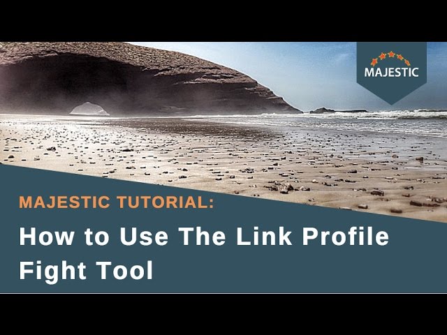 Majestic Tutorial: How to Use The Link Profile Fight Tool