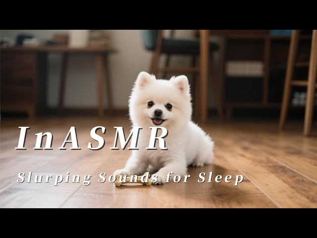 WARNING: This Dog Bone Licking ASMR Will INSTANTLY Knock You Out! (Guaranteed Sleep)