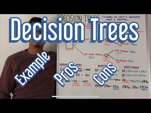 Decision Trees