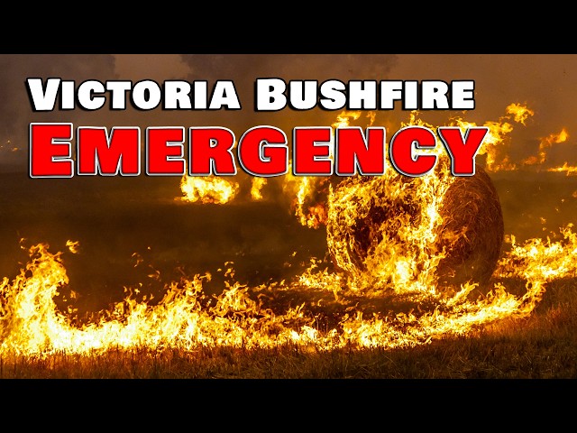 Bushfire Emergency impacts Alexandra, Victoria