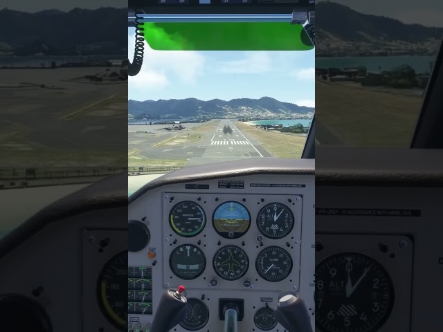 St. Maarten Landing BN2 Islander #msfs2024 #flightsimulator #flightsim #msfs #simulator #simulation