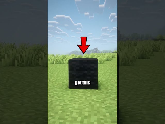Minecraft Has One Block You Cannot Obtain