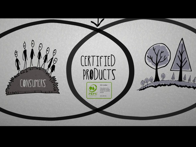 How can we best protect our forests? PEFC certification!