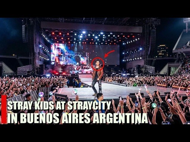 Stray Kids at STRAYCITY Buenos Aires,Argentina!  surprise moment Hyunjin Stray Kids on stage
