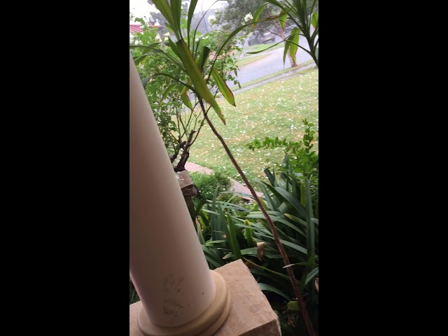 Western Sydney Hail Storm - 14/3/2019