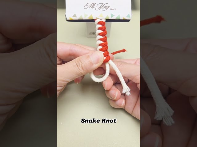 How to Tie the Basic Snake Knot | Easy Macrame Bracelet Tutorial  #shortstutorial #diy #macrame#knot