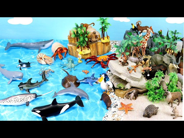 Island Diorama Sets - Land and Sea Animal Figurines