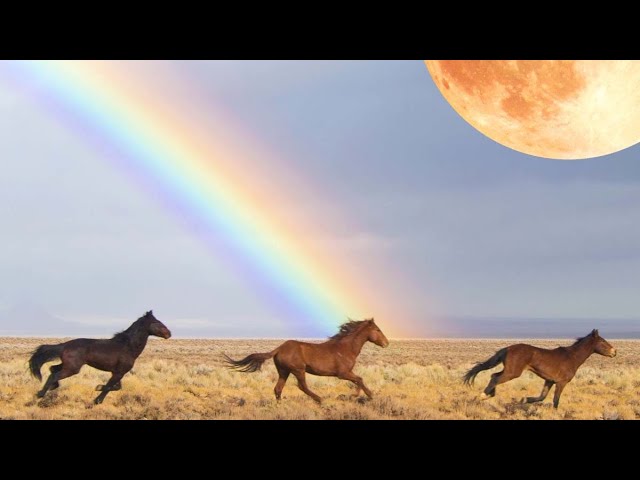 Mystic Sisters Live! Full Moon in Sagittarius Edition
