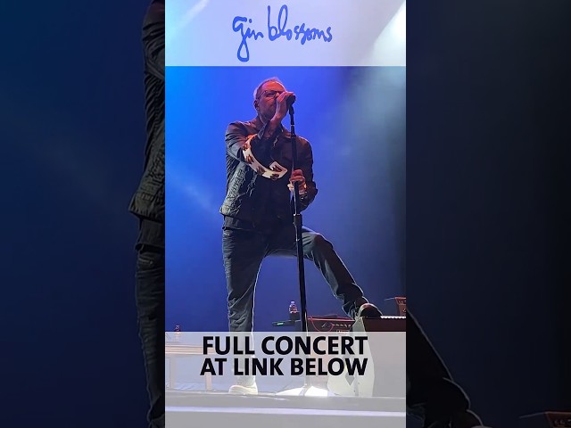 FOLLOW YOU DOWN LIVE! Gin Blossoms 2025 Tour #ginblossoms
