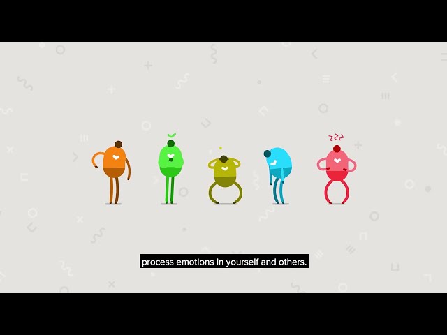 Developing Emotional Intelligence