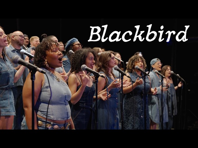 New York Vocal Collective - Blackbird