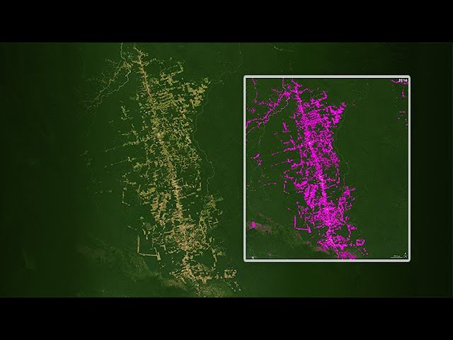 Getting Started with Image Processing