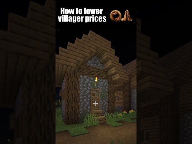 How to Lower Villager Prices 😭😭😭