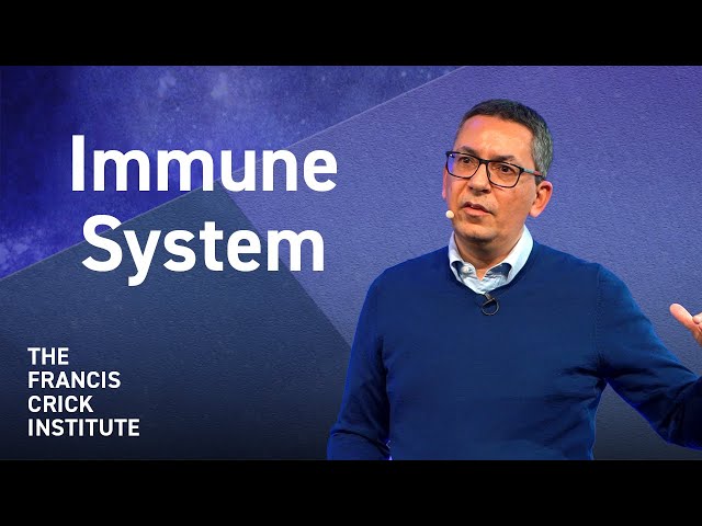 The Past, Present and Future of Immunology Research – with Caetano Reis e Sousa