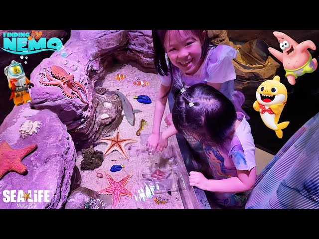 Pegang Bintang Laut, Nemo dan Dory di Aquarium Sealife Legoland
