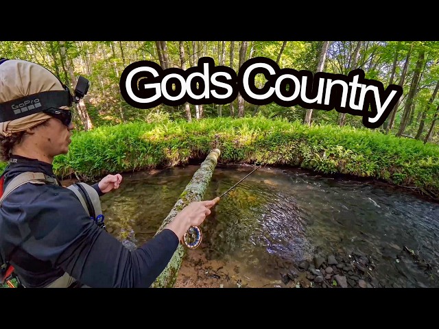 Pennsylvania's Wild Trout Paradise (Native Brook Trout & Wild Browns)