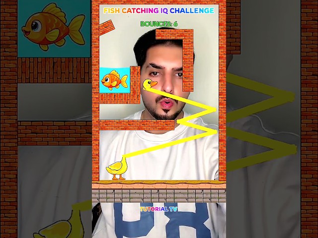 #edit