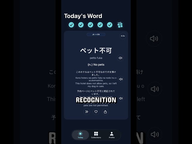 Introducing Lexa: not another language app