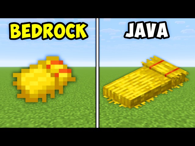 30 Minecraft Java vs Bedrock Things!