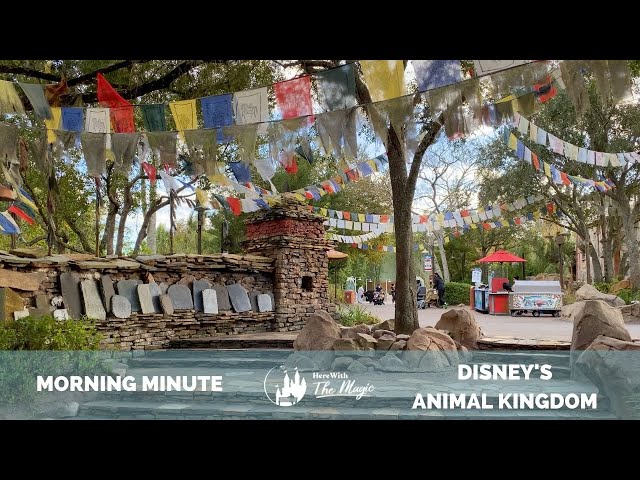 Expedition Everest at Disney's Animal Kingdom Asia - Serka Zong Bazaar - Walt Disney World (4K) (HD)