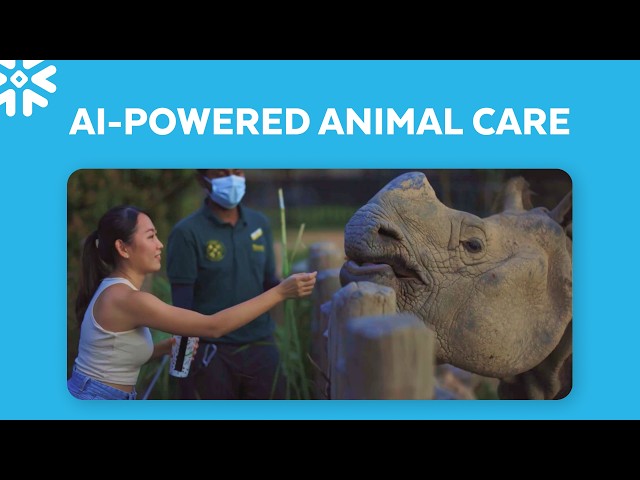 Accelerating Animal Care with Snowflake CoWork and Cortex AI