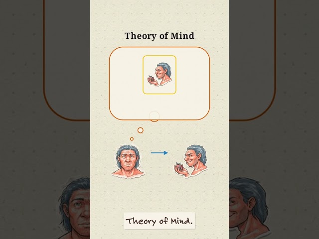 Evolution of Morality: The Flaw in Human Justice