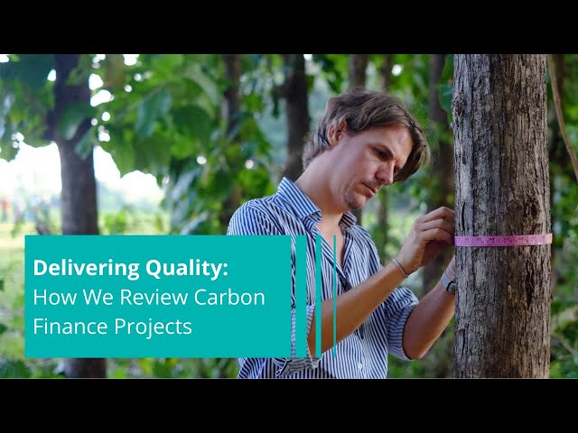 Delivering Quality: How We Review Carbon Projects