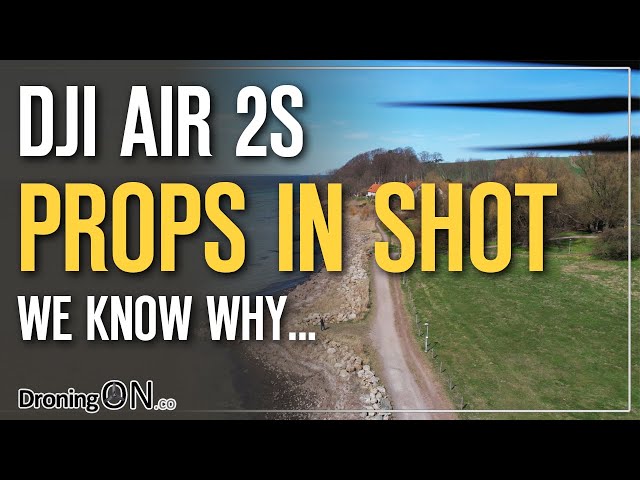 DJI AIR 2S - Why are the PROPS/ARMS in SHOT!? (Not only during MasterShots)