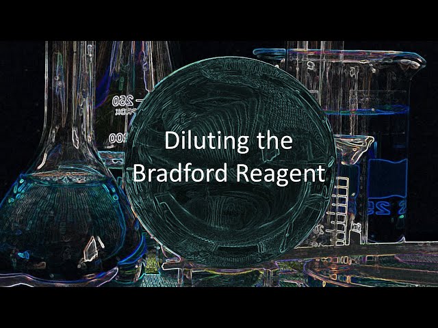 Diluting the Bradford Reagent