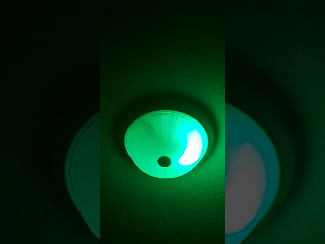 Testing the Techin Wifi Smart Bulb with Alexa
