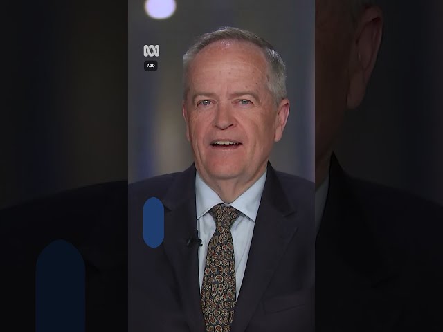 'We may have built nukes with opinions': Shorten's AI fears | 7.30