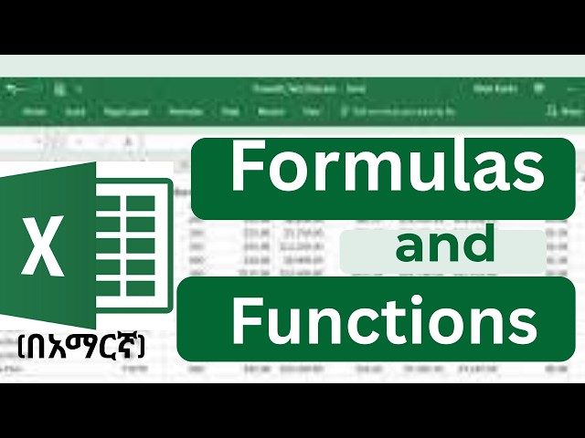 Excel Formulas and Functions | Tutorial for Beginners |Amharic