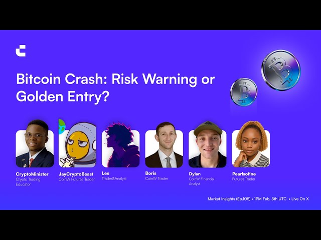 Bitcoin Crash: Risk Warning or Golden Entry?
