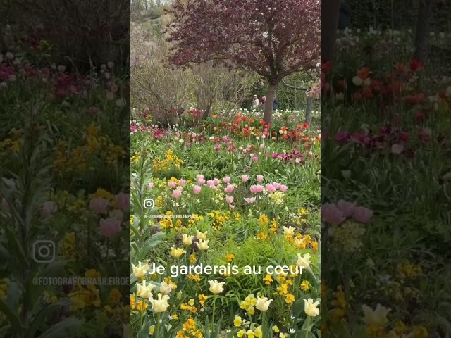 O LINDO JARDIM DE CLAUDE MONET