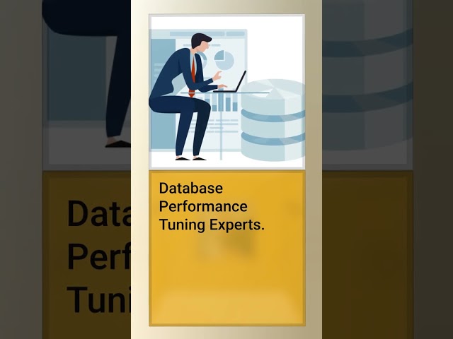 Database Performance Tuning Experts.