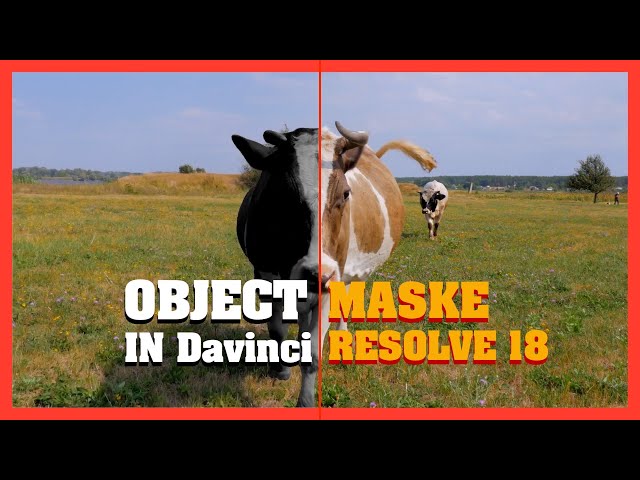 the new object mask in Davinci Resolve 18 is fantastic