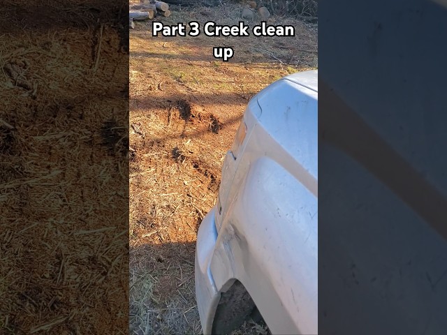Creek clean up part 3 Down trees black berrys and rattle snakes. #kubotatractor #cleanup #property