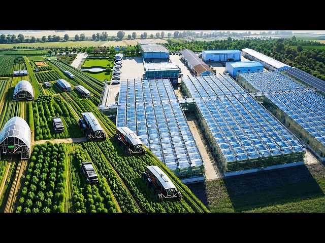 How SMART FARMING in China Is Changing Global Food