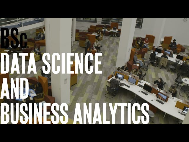 Spotlight on BSc Data Science and Business Analytics