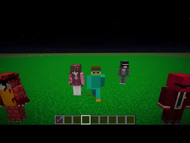 My Application for the Lifesteal SMP!