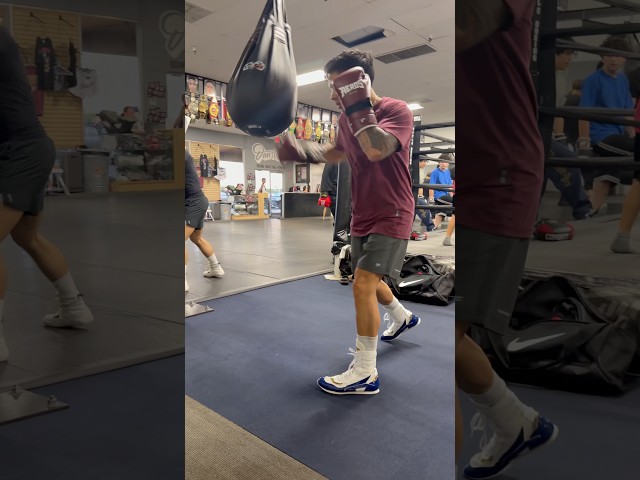Aeros Boxing Aerotrain Boxing Gloves