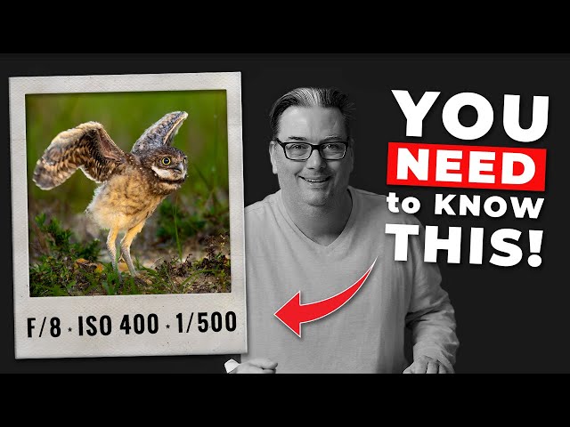 Photography Basics in 10 Minutes, from a Pro | 2026
