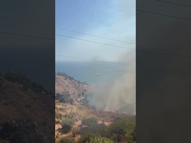 Incendio a Taormina, chiusa l’A18 in entrambe le direzioni: traffico in tilt
TAORMINA – Un incendio