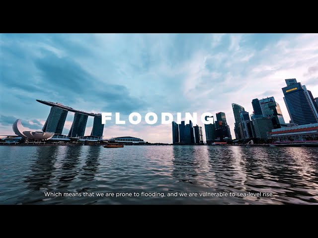 Designing for Climate Change: Architectural Insights from SUTD