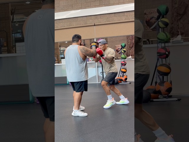 Henderson Boxing Fight Gloves | Mitt Work
