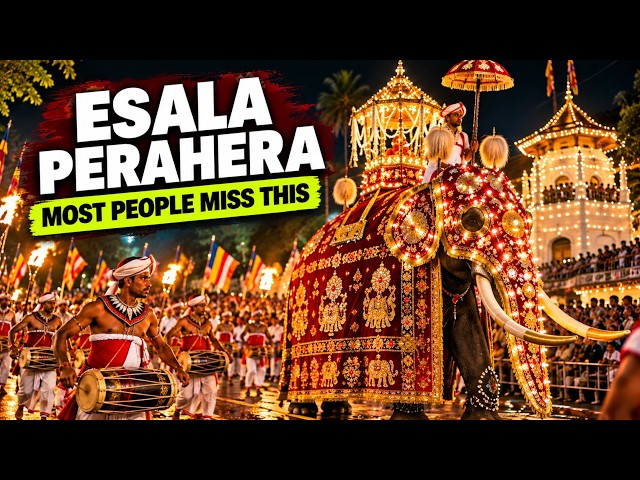 Watch this for Free in Sri Lanka | Kandy Esala Perahera