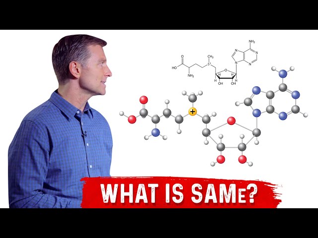 What is SAMe S-Adenosyl-Methionine Explained By Dr. Berg