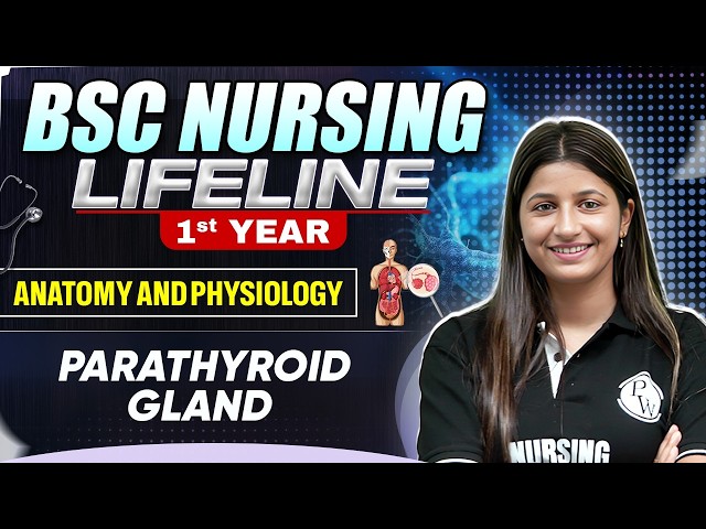 Parathyroid gland bsc nursing 1st year | B.SC Nursing LifeLine
